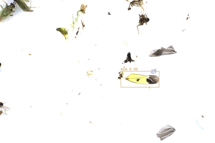 Image 25